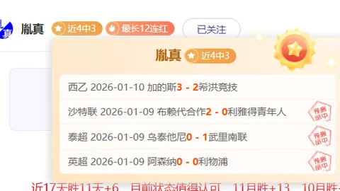 墨尔本胜利携手悉尼FC，暗潮涌动！市场动向揭秘！