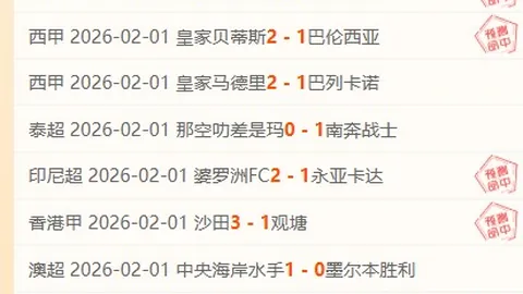 大乐透期号专家质合分析：福伦丹对阵格罗宁根，格罗宁根能否客场